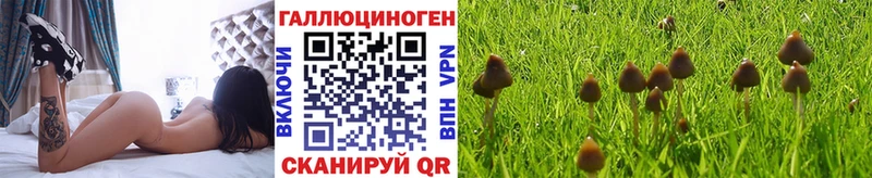 Галлюциногенные грибы ЛСД  цены наркотик  даркнет телеграм  Сегежа  МЕГА ссылки 