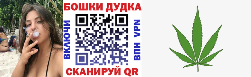 купить   Сегежа  Бошки Шишки марихуана 